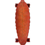 The leaf - winter red